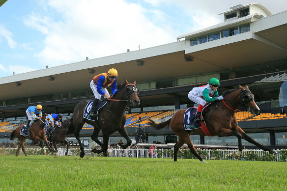 Castelvecchio takes out the group 1 Rosehill Guineas in front of an empty grandstand.
