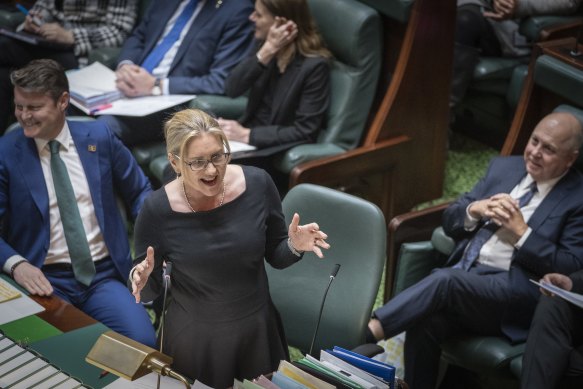 Premier Jacinta Allan in parliament on Wednesday.