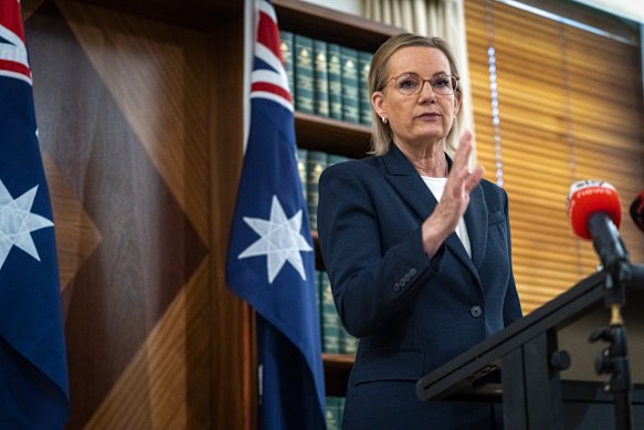 Opposition Leader Sussan Ley at a media conference in Melbourne on Thursday.