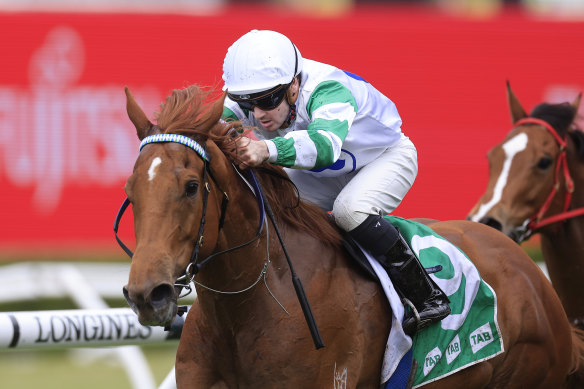 Tyler Schiller has been on Sneaky Paige for her four wins and they reunite in Saturday’s Starlight Stakes at Rosehill.