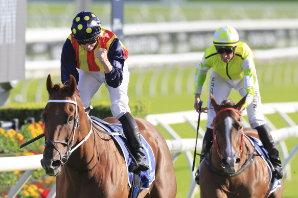 Eduardo (right) is the only horse in Saturday’s field to have beaten Nature Strip.