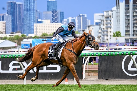 Melham wins the Melbourne Cup on Half Yours on Tuesday.