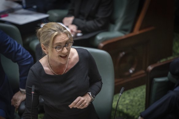 Premier Jacinta Allan in parliament last week.