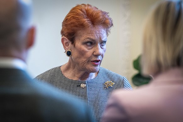 One Nation leader Pauline Hanson has attacked Home Affairs Minister Tony Burke for the government’s handling of migration. 