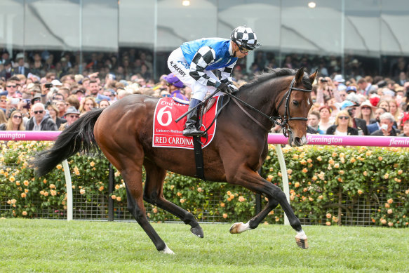 Red Cardinal finished 23rd in the 2018 Melbourne Cup for trainer Darren Weir.