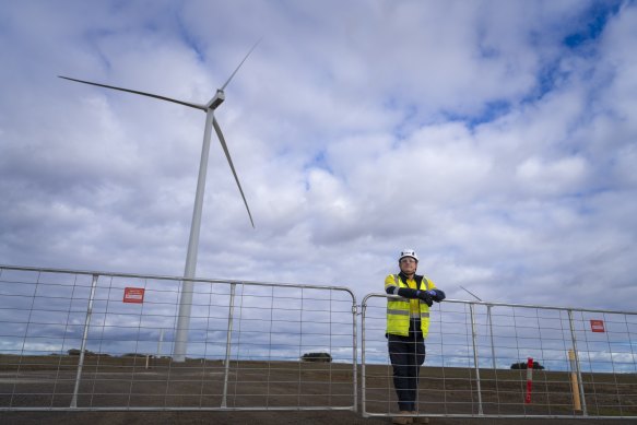 wind farm 