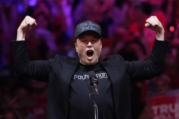 Elon Musk spoke to the crowd at a campaign rally for Donald Trump at Madison Square Garden before the election.