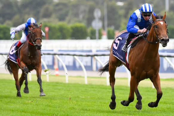 Minhaaj in full flight as she takes the Thoroughbred Breeders Stakes at Flemington.
