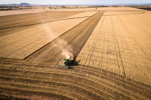 Agriculture has previously been identified as an industry that is highly dependent on nature.