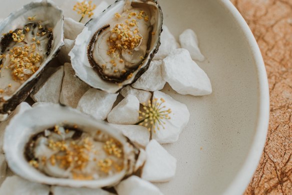 Those oysters and their pebbles.