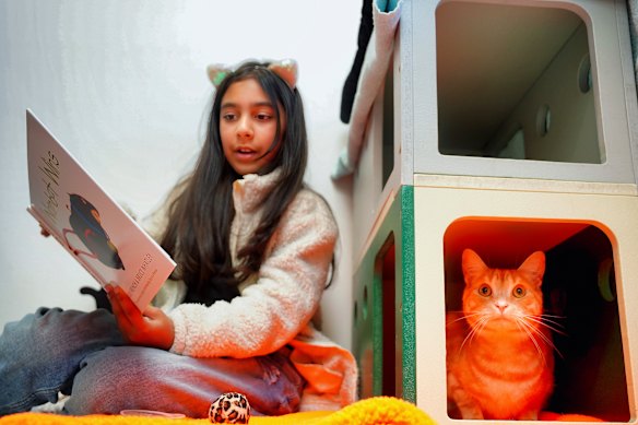 Amani reading to cats at Lort Smith animal shelter.