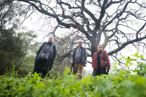 Anna Poulentzas, Vaslios Mihopoulos and Anna Krouskos on the outskirts of the community gardens.