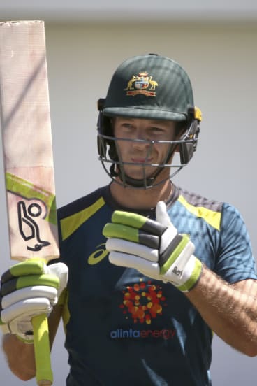 Motivated: Australian captain Tim Paine.