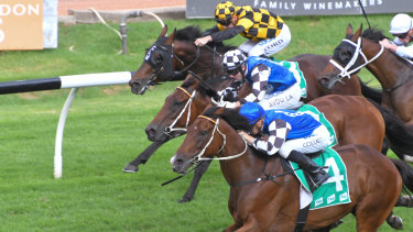 Same again please: Red Cardinal flies home to beat Big Duke in the Parramatta Cup.