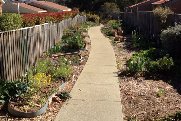 Laneway planted with edibles in Melba. 