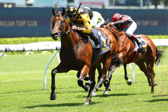 Connections bullish about future after 1750 buy completes summer