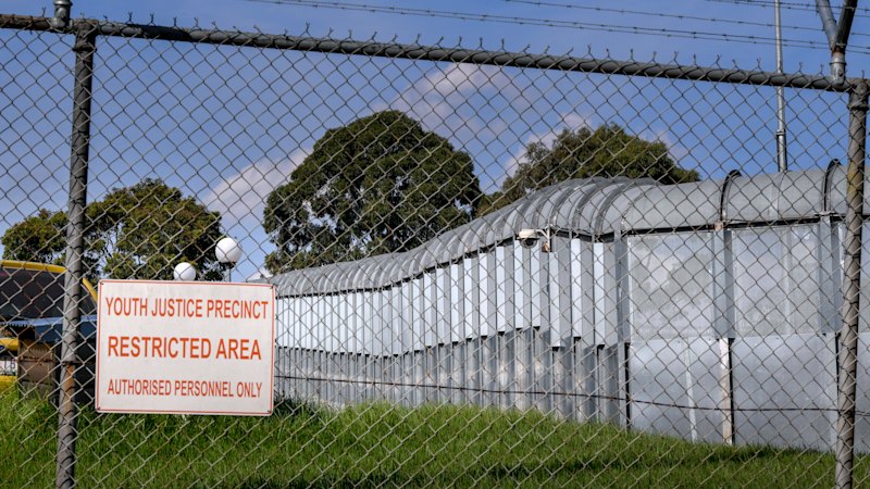 Cigarettes, drugs and alcohol used to bribe teens into fight