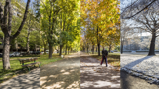 “A longing for four seasons is something you hear in California from East Coast transplants, and it makes no sense to me.”      