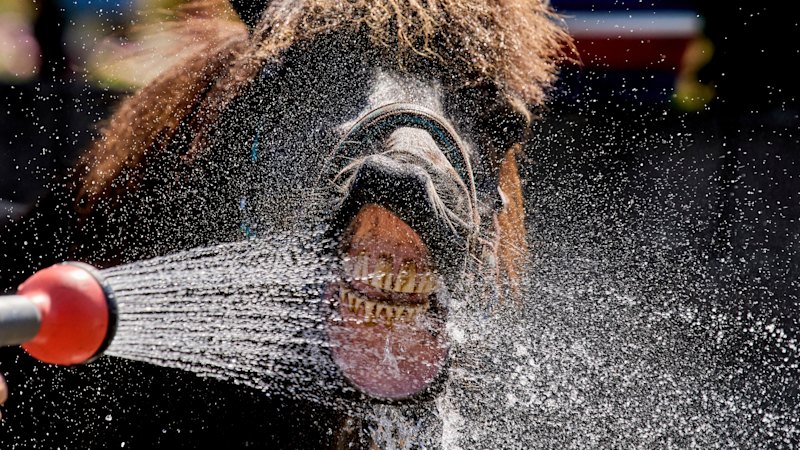 World in pictures this week, July 3, 2025