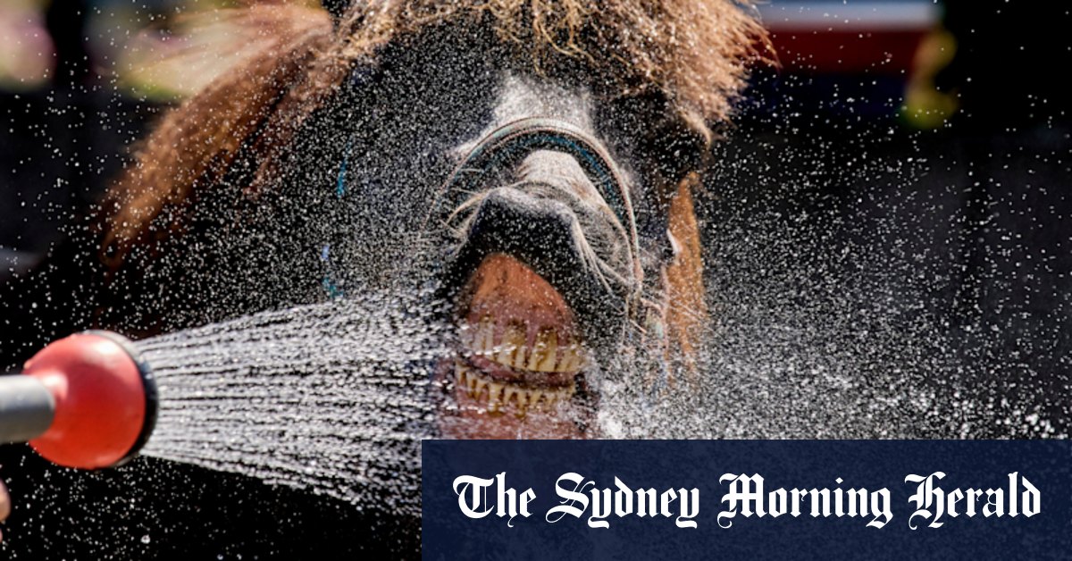 World in pictures this week, July 3, 2025