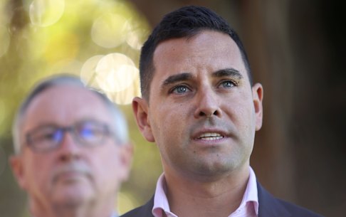 Greens MP Alex Greenwich dissented fro the majority.