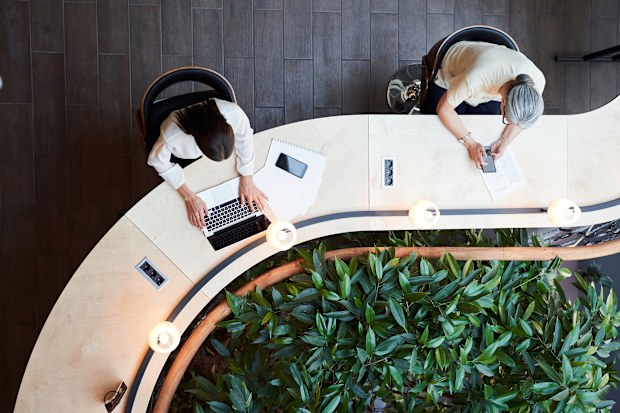 Young brunette woman and a senior lady using their devices while sharing a desk and keeping social distance office