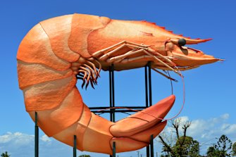 The Big Prawn.