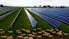 Ten massive new solar and wind projects have been given the go-ahead by the NSW government.
