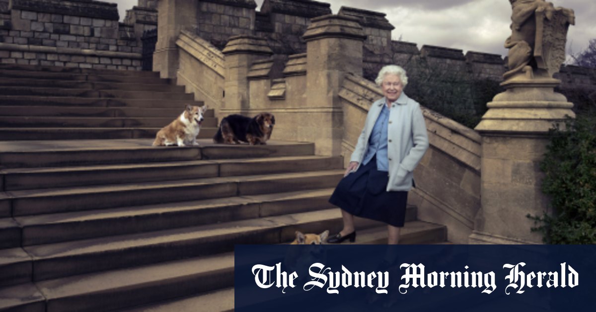 Duke and Duchess of York will take on Queen Elizabeth’s beloved corgis – Sydney Morning Herald