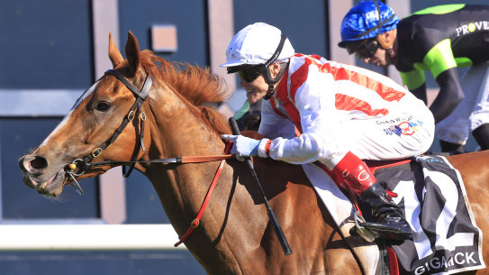 Giga Kick reamins unbeaten as he takes out The Everest at Randwick on Saturday. 