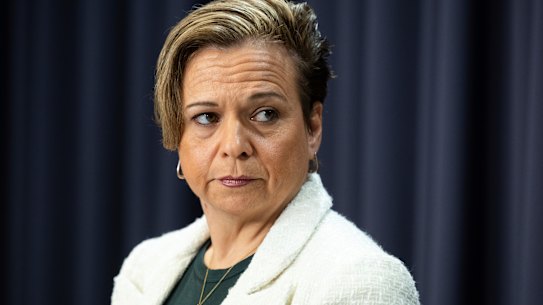 Communications Minister Michelle Rowland has already delayed the introduction of the controversial bill.