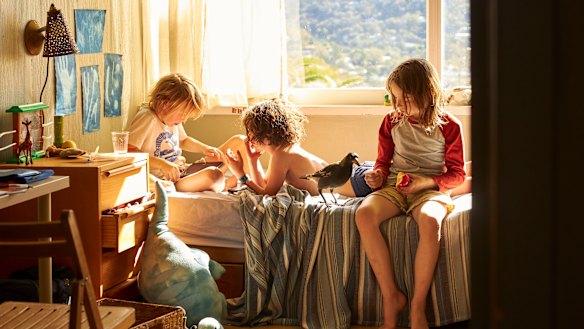 The three boys lift the energy in Penguin Bloom.