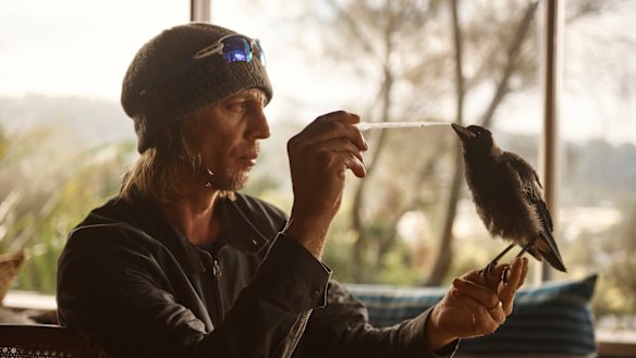 "Their intelligence is much higher than predatory birds and their memory retention really stands out": Mander on the set of Penguin Bloom. 