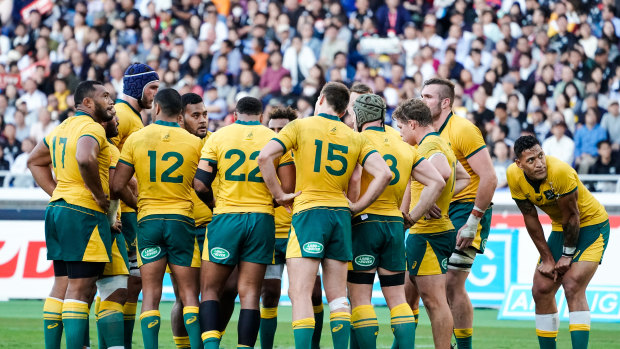 United: The Wallabies face Wales this weekend in Cardiff. 