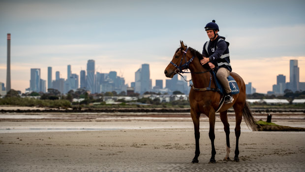 Cox Plate favourite Zaaki has never raced at Moonee Valley before.