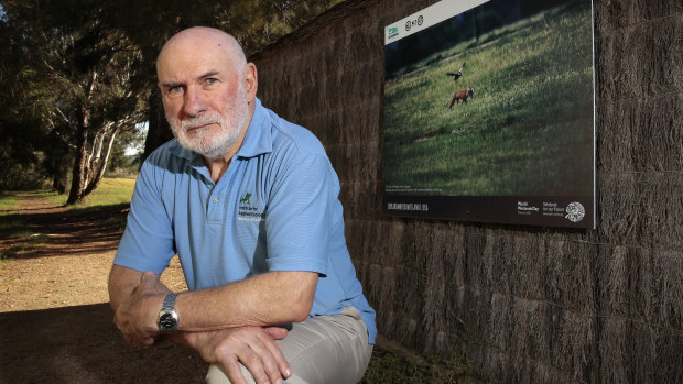 Adjunct professor at the University of Canberra Mike Braysher is adamant there is no practical way to reintroduce bettongs into the wild.