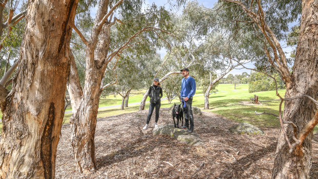 Experts say green spaces with a diverse range of native species can improve people's health.