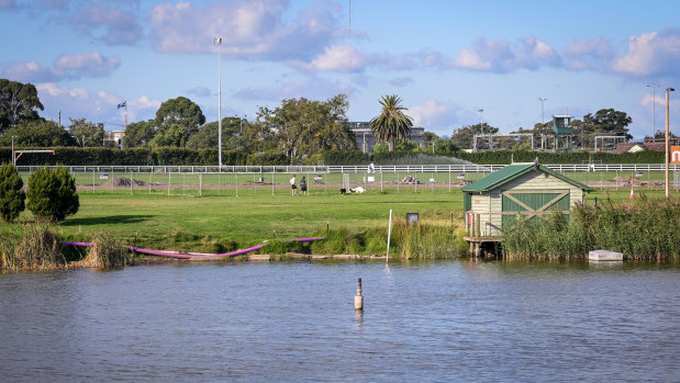 Publicly accessible wetlands in the centre of the Caulfield racecourse.