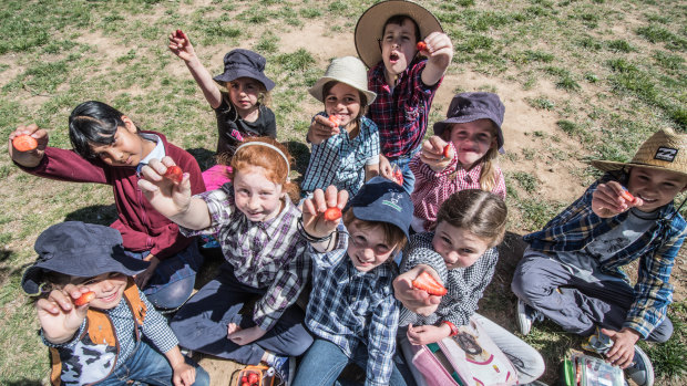 (From left) St Joseph's Primary School, students and strawberry enthusiasts Olivia Osborn, Rea Nevin, Matilda Donnelly, Josie Sill, Oliver Arena, Maeve Moloney, Harry Cattle, Ashley Fordham, Sophie Patten and Jordie Leemhuis.