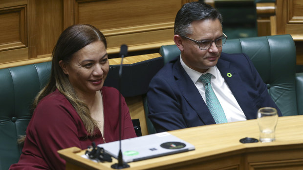 NZ Green party co-leaders  look on during the third reading of the bill in Parliament on November 7.