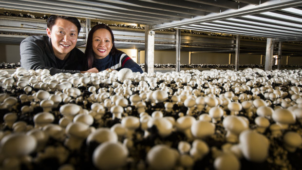 Majestic Mushroom owners, Ian and Helen Chu, have recently returned from a business trip to Singapore, potentially opening up the south-east Asian market to their business.