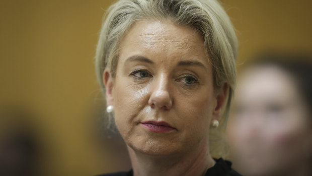 Senator Bridget McKenzie was criticised in the report for her role in a process where $100 million of funds were distributed to sports clubs around the country.