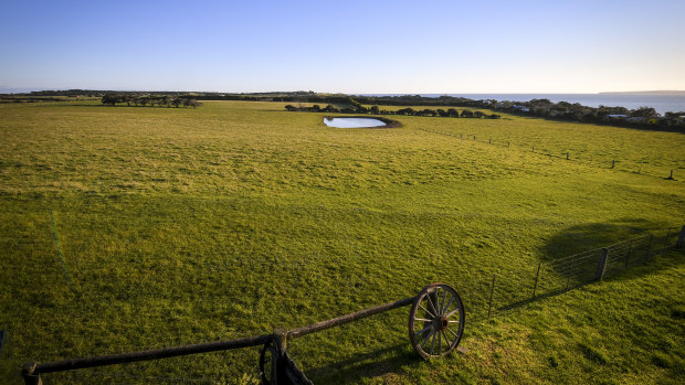 The farmland near Ventnor on Phillip Island that was rezoned by former planning minister Matthew Guy.