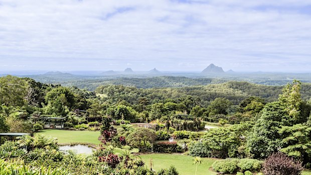 Maleny’s lush Botanic Gardens.