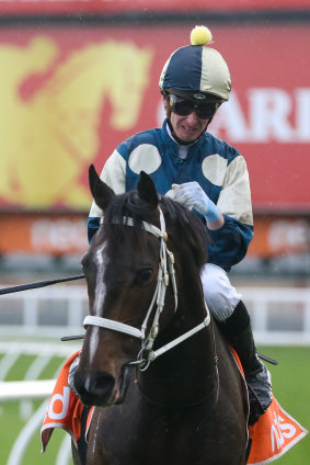 Daniel Moor returns to the mounting yard on Sierra Sue.