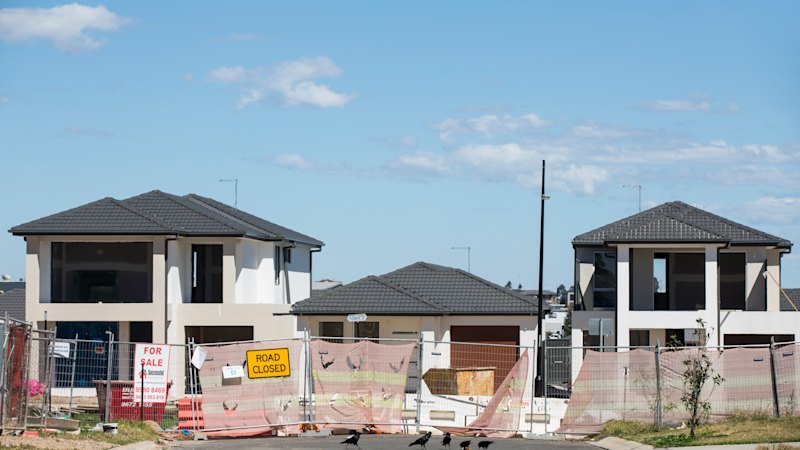 Death of Sydney’s front yards revealed as homes and driveways get bigger