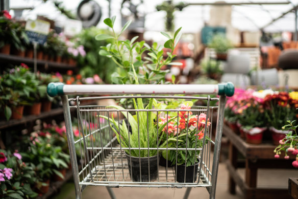 Gardening goods were part of a lift in retail trade.