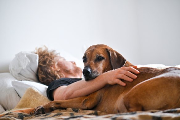 A dog can provide a sense of duty, especially in the early morning.