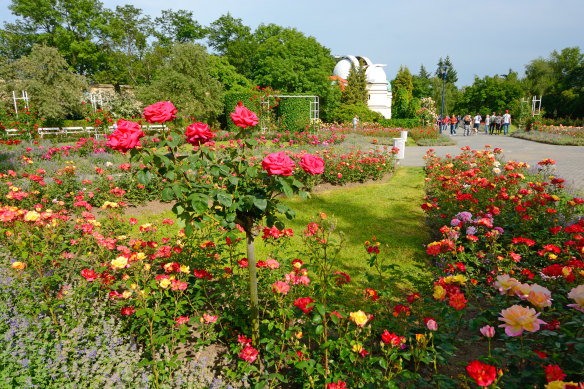 Cultivate a sweet-smelling garden all year long.