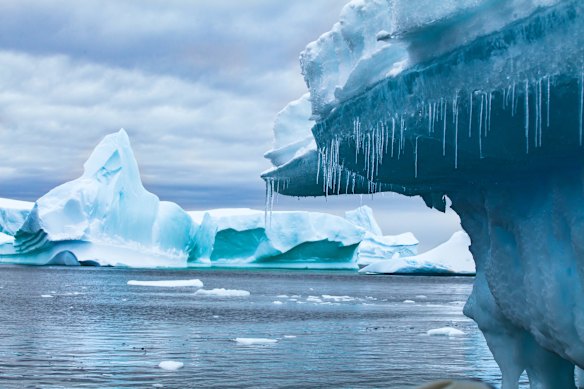 The Paris Agreement on climate committed countries to limiting warming to 1.5 degrees above mid-19th century levels. The world is now at 1.4 degrees.
